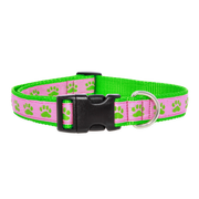 Paws For A Cause Dog Collar Pink Green